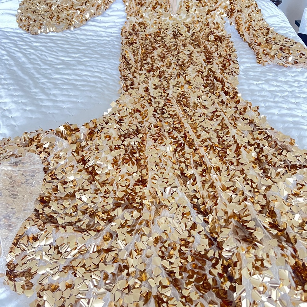 Long sleeved formal or party dress